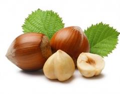 فندق معمولی